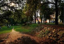 Un bărbat a fost găsit mort pe o bancă dintr-un parc din Oradea