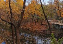 Vremea actualizată pentru minivacanța de 1 Decembrie