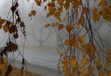 Vremea actualizată în România în perioada 28 noiembrie – 26 decembrie