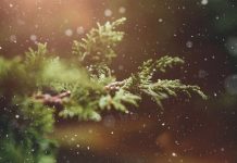 Cum va fi vremea de Crăciun?