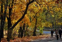 Prognoza meteo pe două săptămâni pentru Bihor