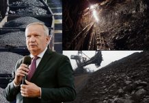 Pesedistul Mang a votat contra redeschiderii minelor din Bihor