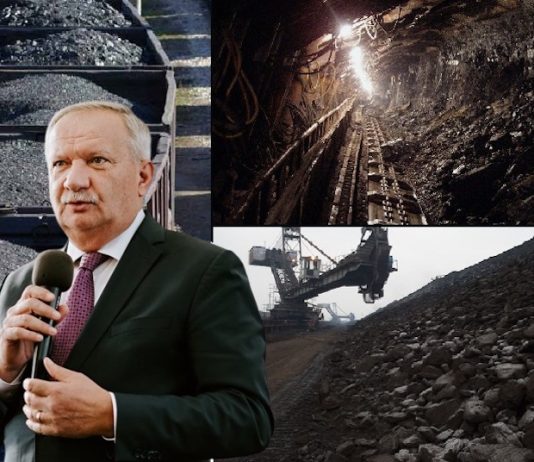 Pesedistul Mang a votat contra redeschiderii minelor din Bihor