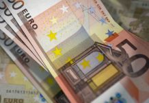 Românii din Diaspora au trimis în țară peste 65 de miliarde de euro în 15 ani