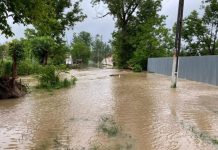 Cod Galben de inundații și viituri în Bihor și în țară, până vineri