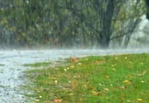 Ploile cuprind toată țara și vor fi ninsori la munte