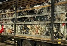 12 tone de deşeuri oprite la intrarea în țară în Vama Borș II