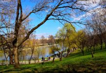 Vești bune de la meteorologi, cum arată prognoza pentru următoarele două săptămâni