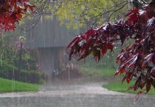 ANM a transmis vineri o informare meteo cod galben valabilă pentru județul Bihor