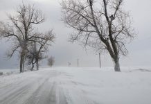 Viscol anunțat de ANM în Bihor