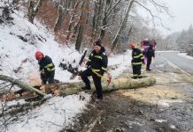 Pompierii bihoreni au avut, sâmbătă, 10 misiuni din cauza viscolului