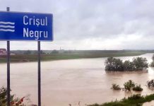 Cod portocaliu de viituri pe Crișul Negru