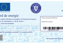 Cine va primi cardul de energie?