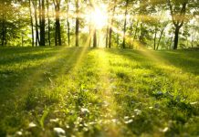 Prognoza meteo a următoarelor patru săptămâni