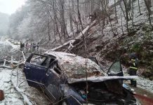 Tragedie din cauza viscolului, copil decedat după ce un copac a căzut pe mașina familiei aflată în mers!