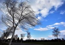 Avertizări cod portocaliu și cod galben de viscol în Bihor