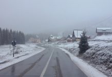 Cod Portocaliu și Cod Galben de ninsori în Bihor