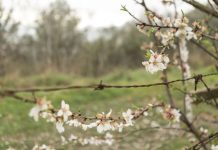 Vreme neașteptată de Paște și 1 Mai