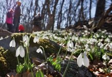 Prognoza meteo pe două săptămâni în Bihor