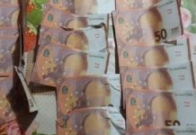 Percheziții în Bihor și alte județe din țară într-un dosar privind punerea în circulație a bancnotelor contrafăcute