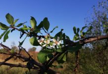 Cum va fi vremea în Bihor