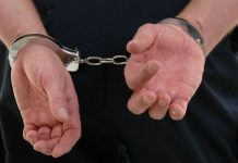 Bihorean reținut de polițiști pentru că a omorât câinele vecinului