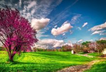 Prognoza meteo pe două săptămâni în Bihor