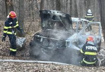 O mașină a ars într-o pădure din Aștileu