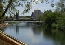 Pompierii au scos o femeie din apa Crișului Repede, în Oradea