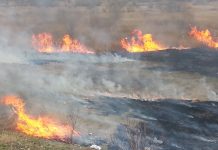 Incendii de vegetație uscată stinse de pompieri în patru localități din Bihor