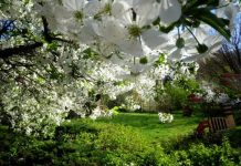 După valul de frig din această săptămână, revin temperaturile normale pentru luna mai