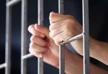 Bihorean, bănuit că ar fi ucis câinele unei vecine și ar fi schingiuit un altul, ajuns după gratii