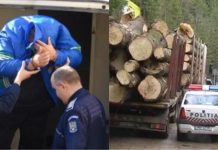 Un bărbat din Borod a fost reținut de polițiști, după ce ar fi tăiat ilegal și ar fi sustras arbori, dintr-o pădure