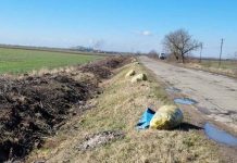 CJ Bihor, CNAIR și primăriile au fost amendați pentru starea drumurilor din județ