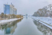 Primul campionat european de înot în ape înghețate va fi organizat anul viitor la Oradea