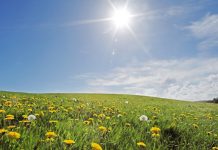 Prognoza meteo pe 4 săptămâni