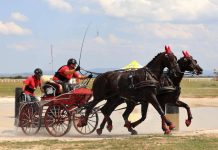 Paradă de atelaje în centrul Oradiei