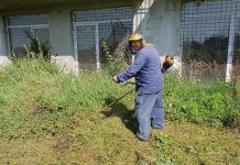 Orădenii au obligația să își întrețină lunar spațiile verzi