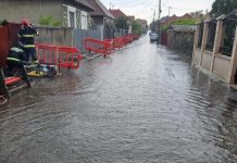 Furtuna a făcut ravagii în Bihor