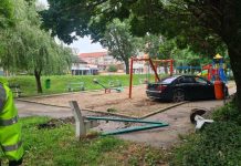 Un șofer de 27 de ani a ajuns cu BMW-ul într-un parc din Cantemir