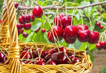 Cum va fi vremea în Bihor în următoarele două săptămâni