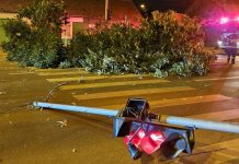 Furtuna din Bihor a doborât copaci, a rupt semafoare și dizlocat cărămizi din clădirile vechi.