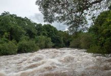 A fost emis cod galben de inundații pentru Bihor și alte 13 județe